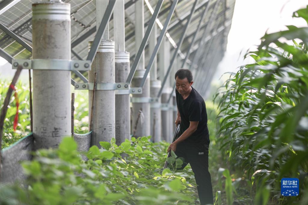 通博手机娱乐