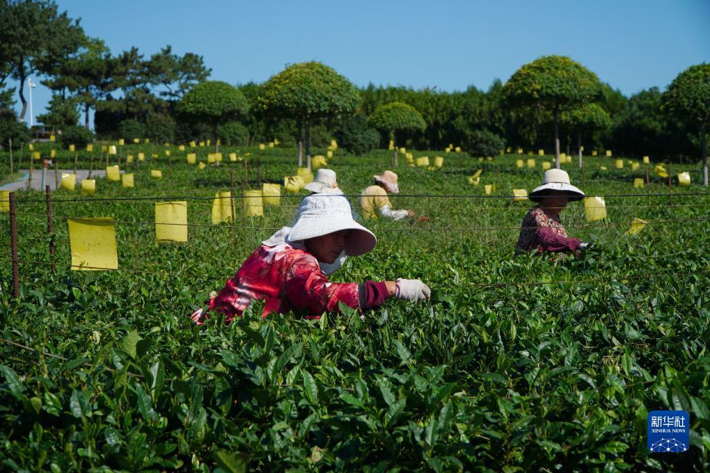 2018白菜网免费送彩金